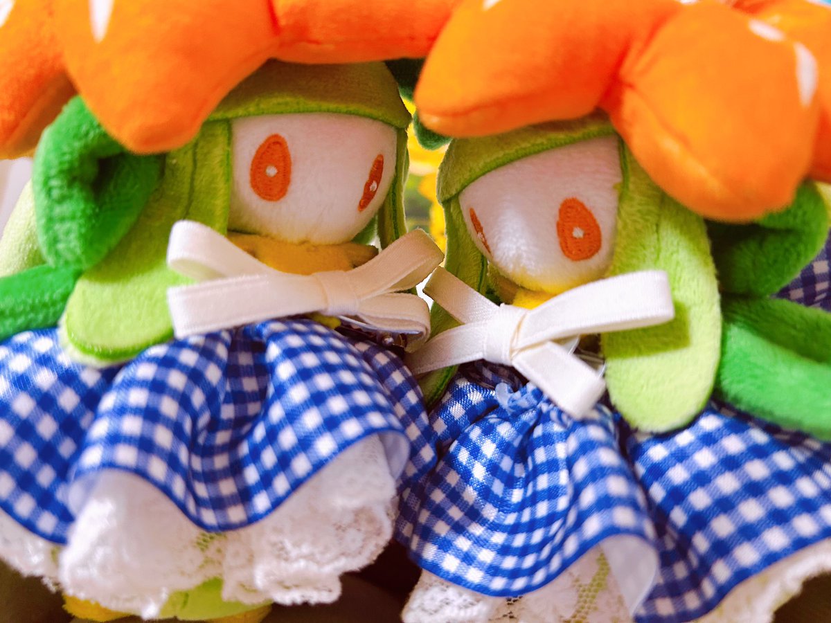 みひめかおり tweet media