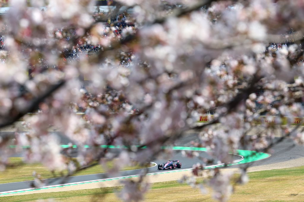 🌸 Only in Japan 🌸
Franco’s Alpine drifting through a sea of Sakura blossoms. 😍