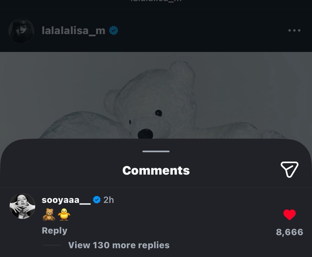 LALICE UPDATES tweet media