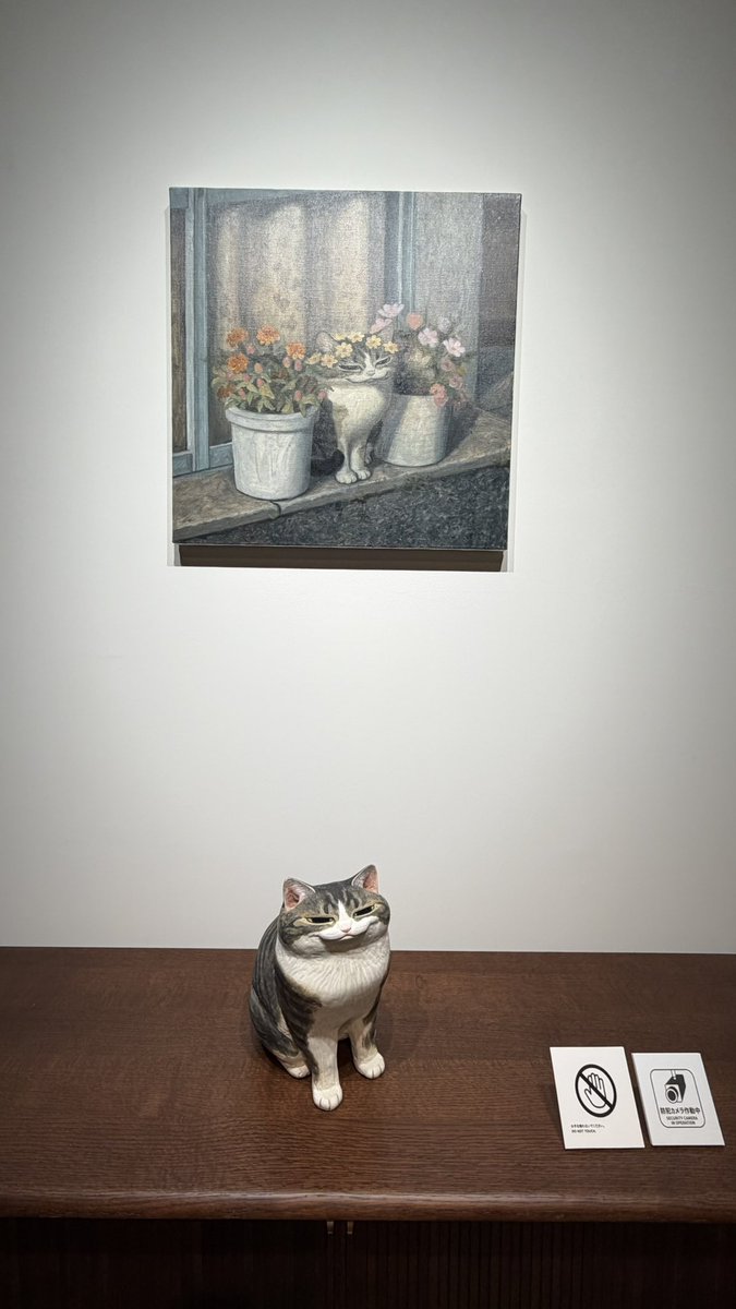 竹田えみり tweet media