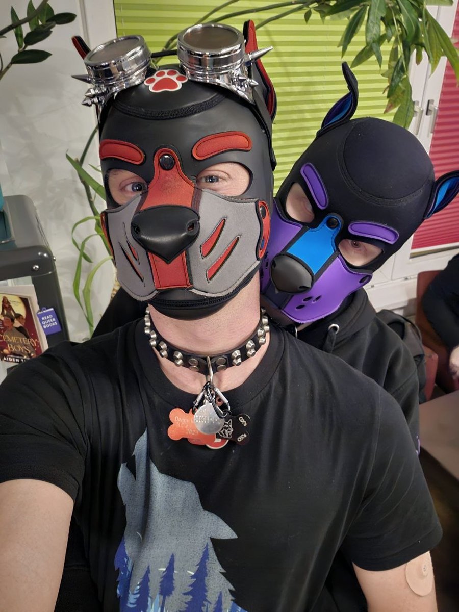 Pup Meta tweet media