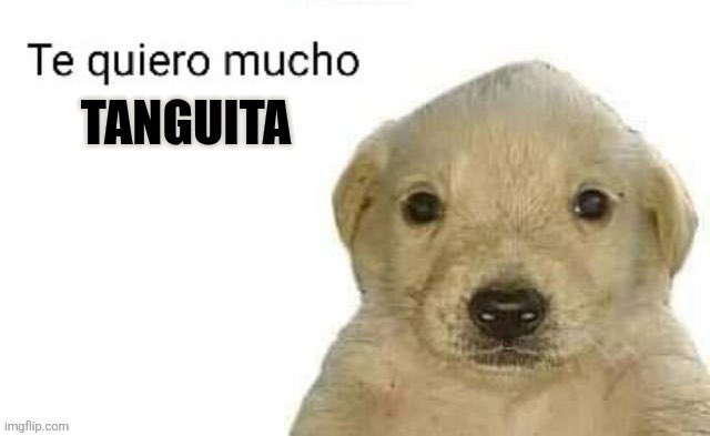 ~~ Lightning ~~ tweet media