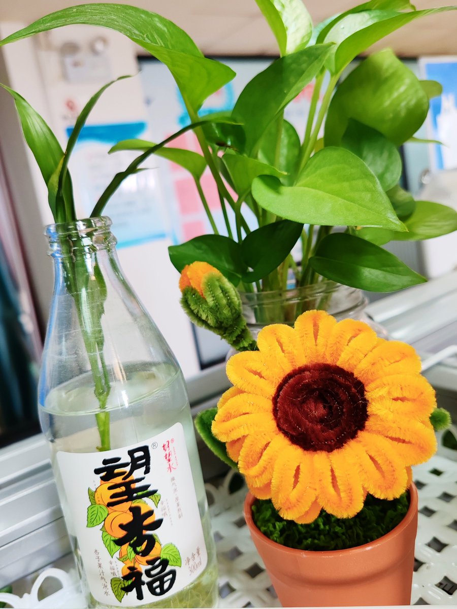 Cathy Hanchey tweet media