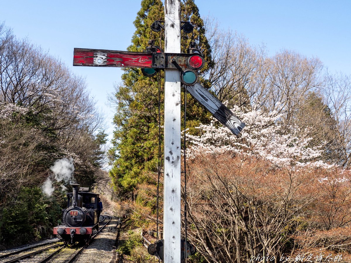 鮒戻峰太郎 tweet media