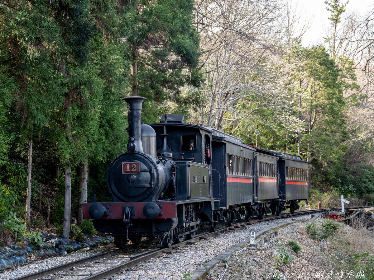 鮒戻峰太郎 tweet media