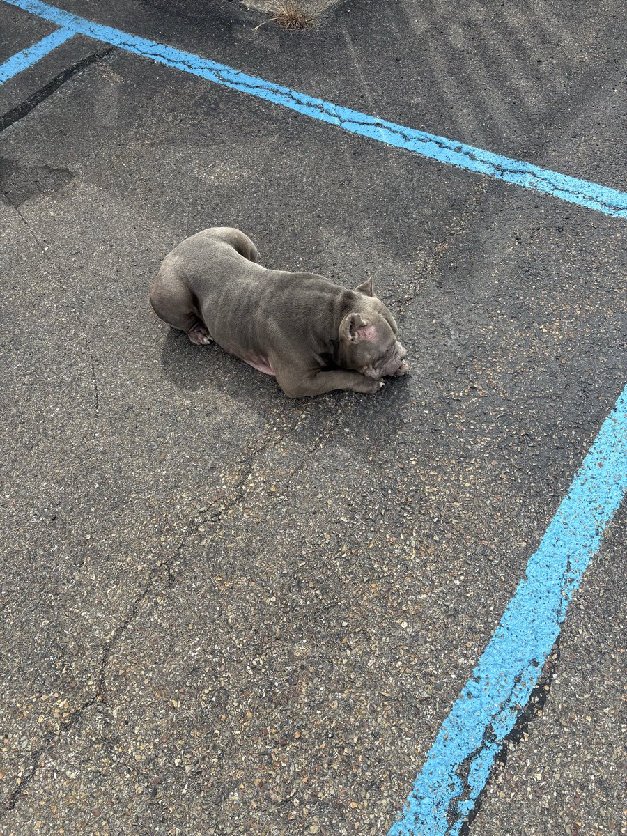 G-RollaCK tweet media