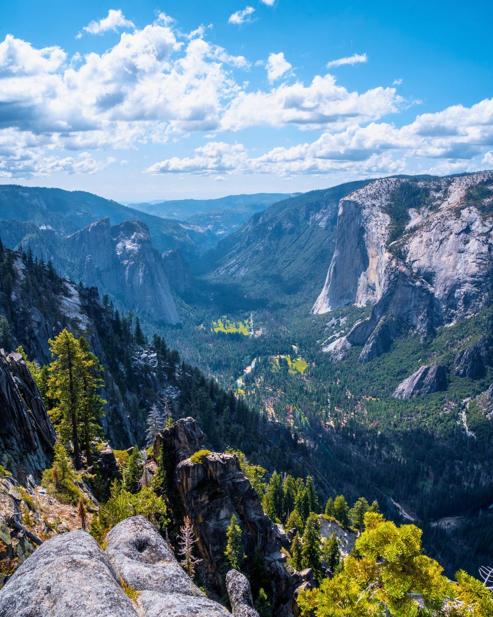Bear country calls — Yosemite National Park, USA