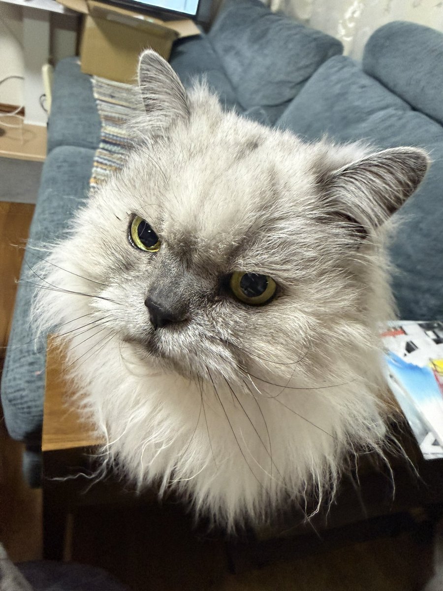 hide (歩夢) tweet media