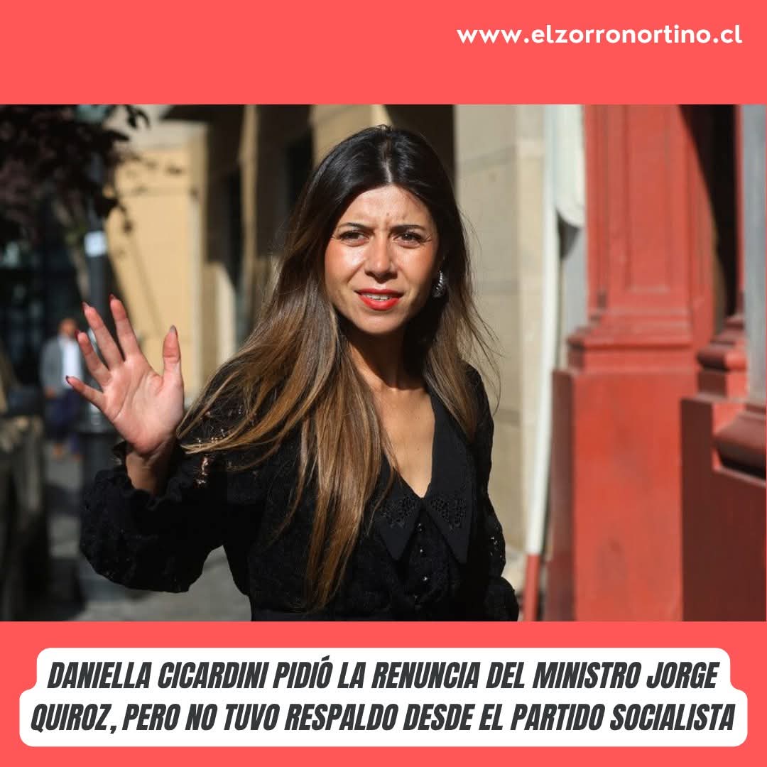 Amalia 🇨🇱🇨🇱 tweet media