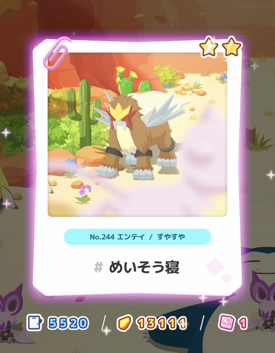 Ⓜ️ねこ🐾 tweet media