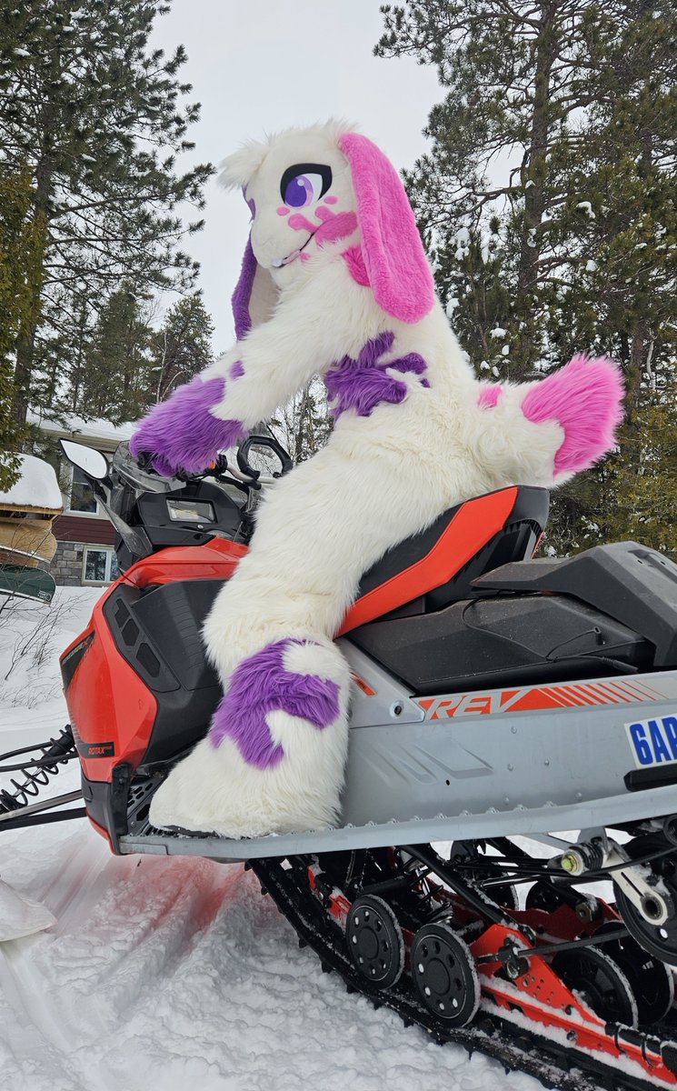 Rabbit_Or_Habit's tweet photo. i have no idea how to drive this thing #FursuitFriday https://t.co/RfdGZb6gtk