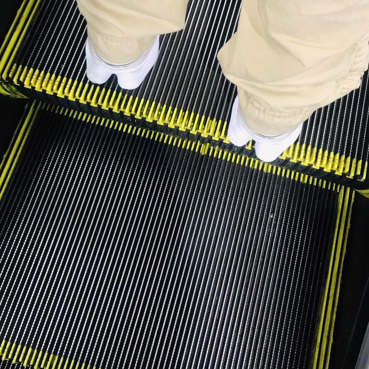 なつみちゃん tweet media