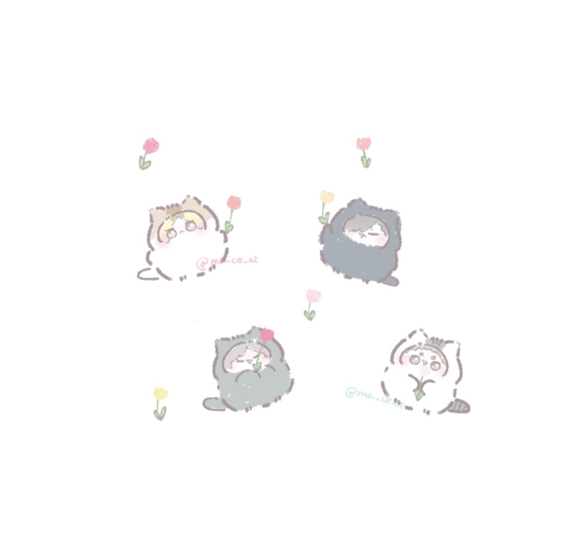 マケドニア🌷 tweet media