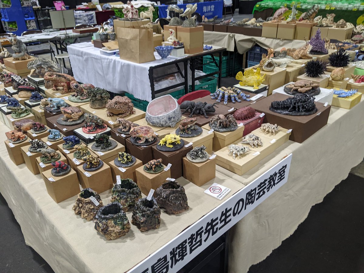 福島輝哲 tweet media