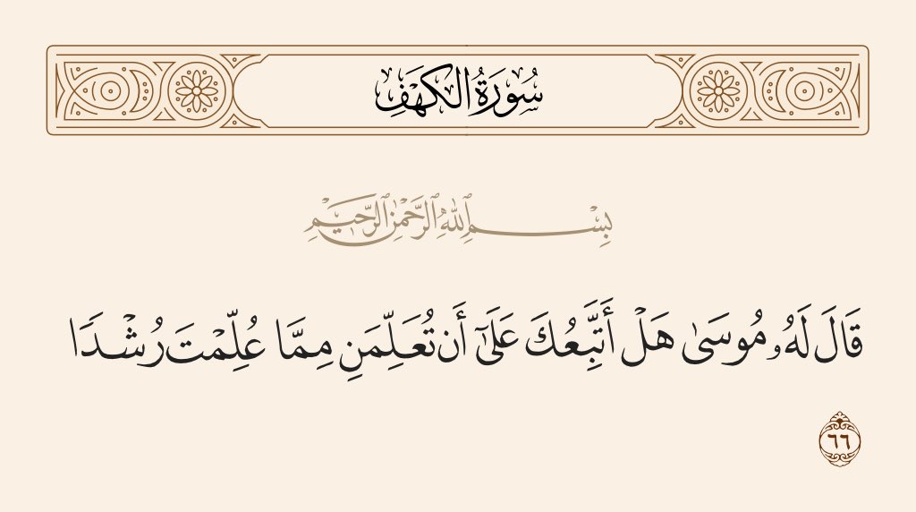 Mohamed Ayman tweet media