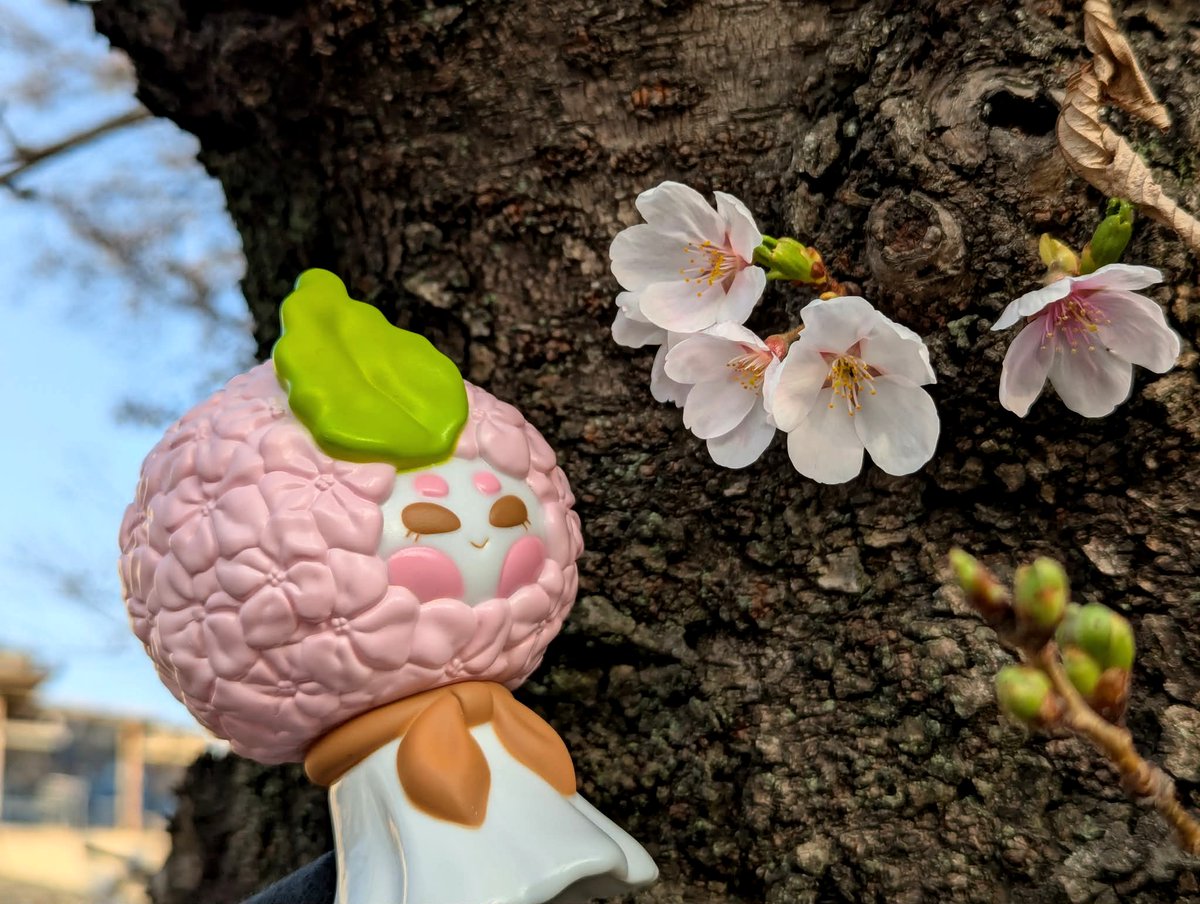 チャーリー★CHARLIE tweet media