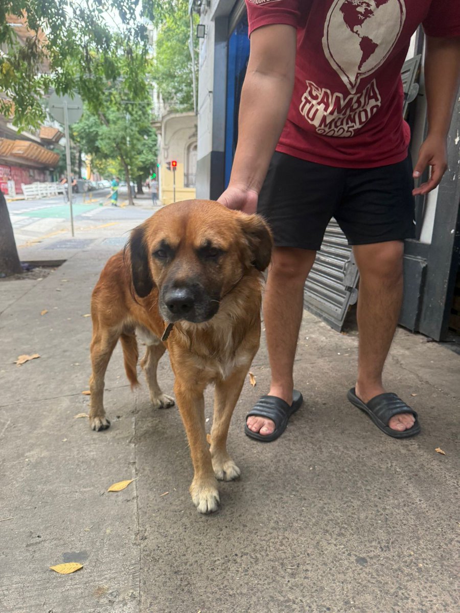 Martín Rodríguez Ossés tweet media