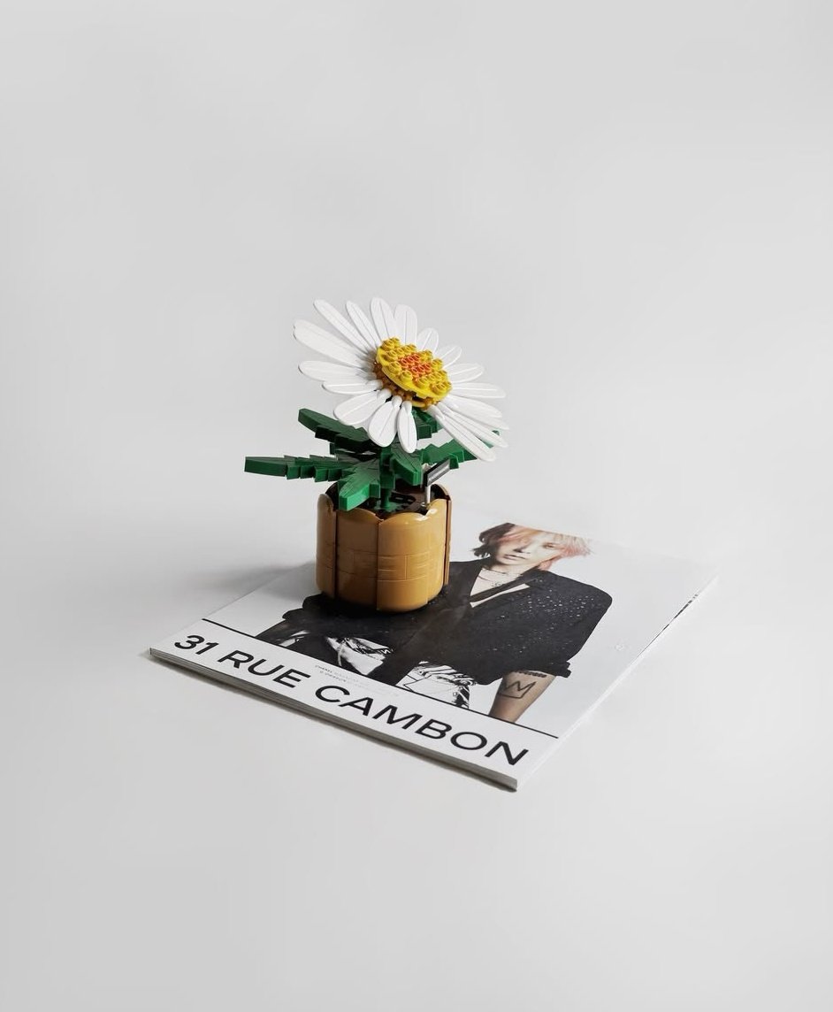WhiteTamar1's tweet photo. GD aesthetic 🌼😍
(By alan_mfy) https://t.co/I2x4n6Y2vF