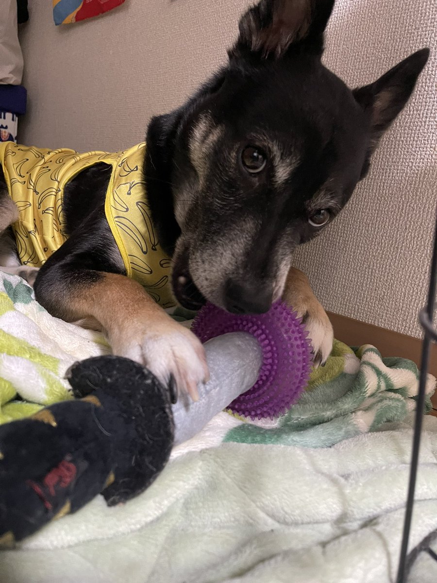 水野有彩 tweet media