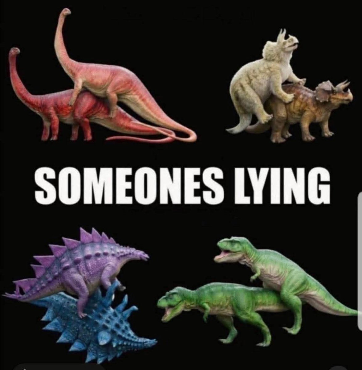 Drumanite tweet media