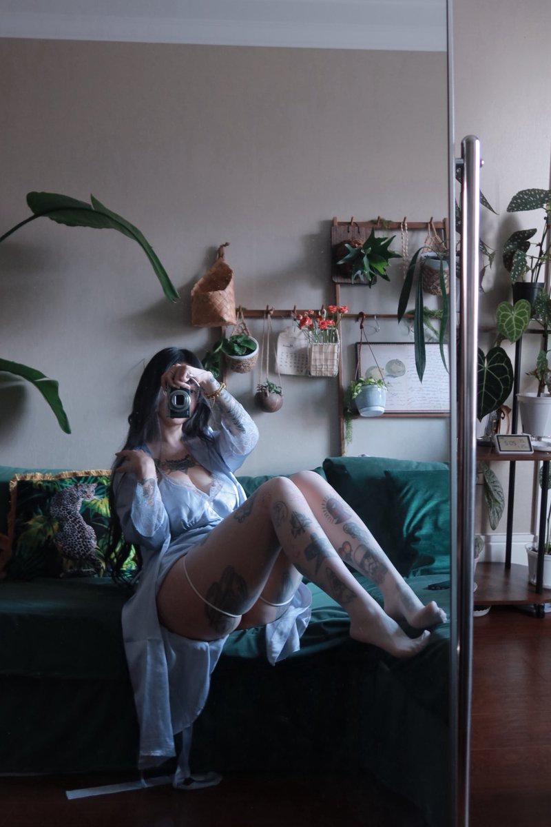 卡通百科老王 tweet media