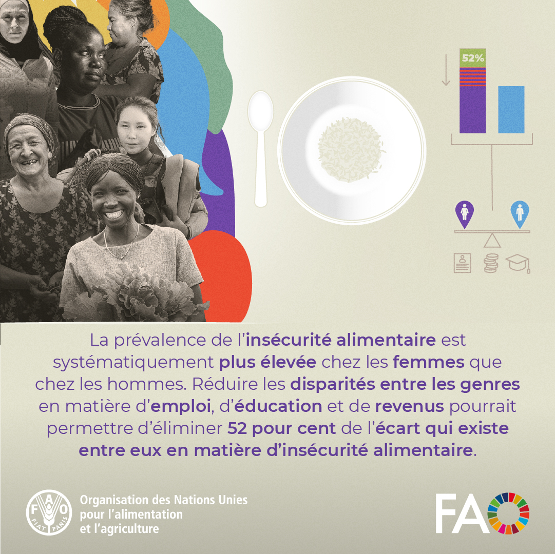 FAOenFrancais's tweet image. Quand les femmes n’ont pas un accès égal aux ressources, les effets dépassent l’exploitation agricole.

Réduire les inégalités de genre dans les systèmes agroalimentaires, c’est renforcer les moyens de subsistance et la #SécuritéAlimentaire.

bit.ly/4ct4KKB

#IYWF2026