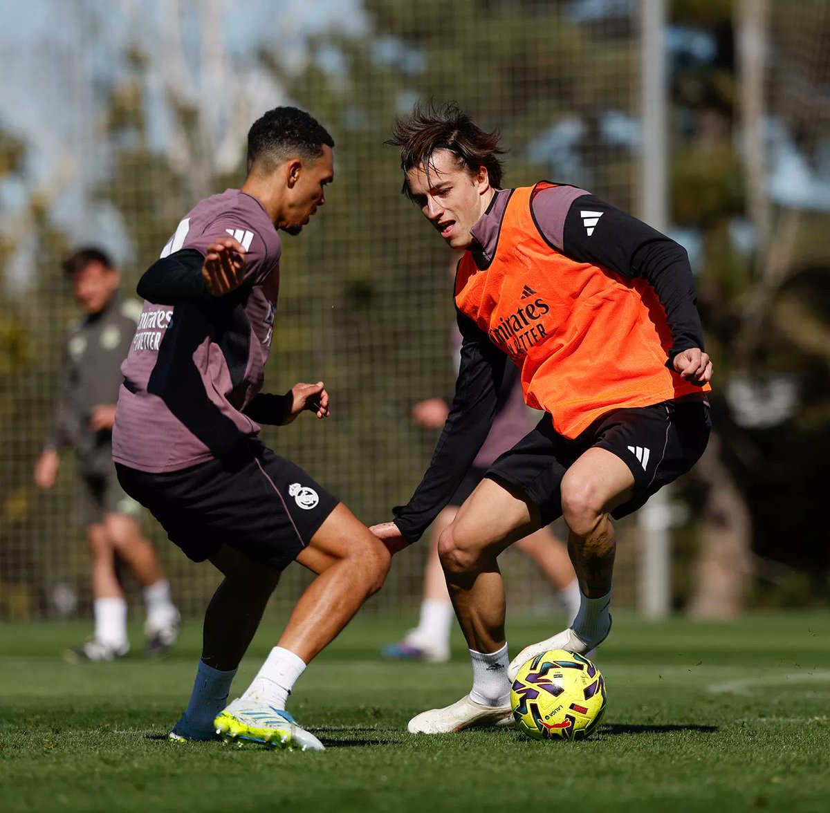 Madrid Zone tweet media