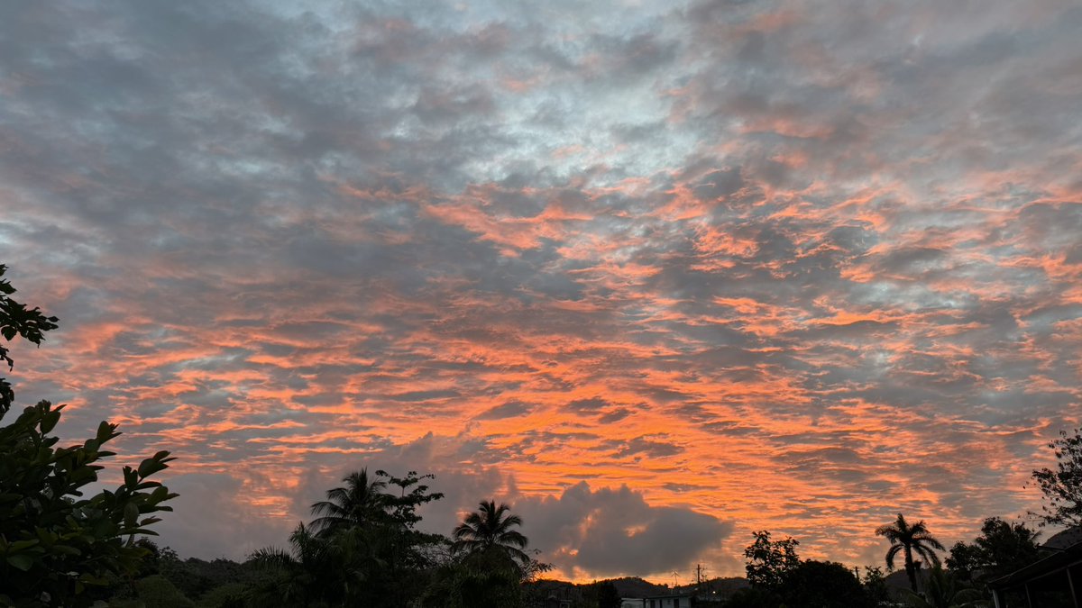 Leidy Díaz tweet media