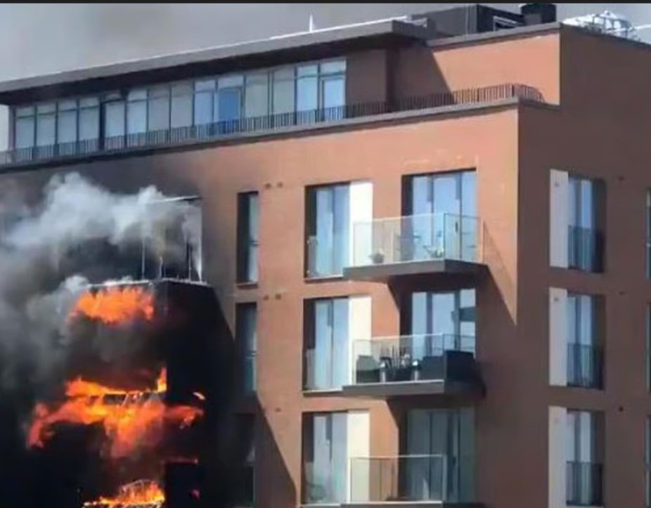 Chelsea Dan tweet media