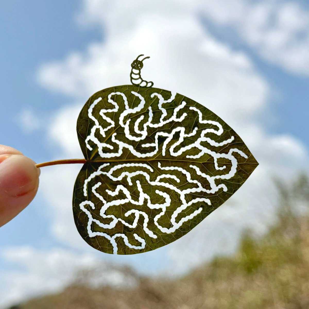 リト@葉っぱ切り絵 tweet media