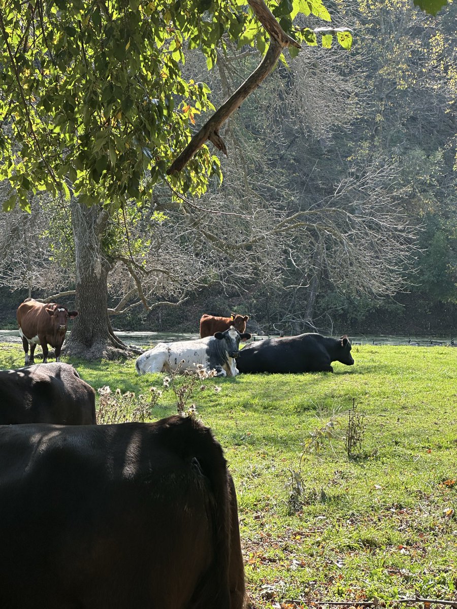 Chey Cab tweet media