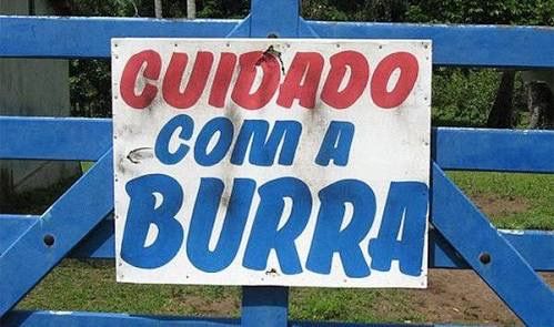 Carlos Bussu𝕏 tweet media