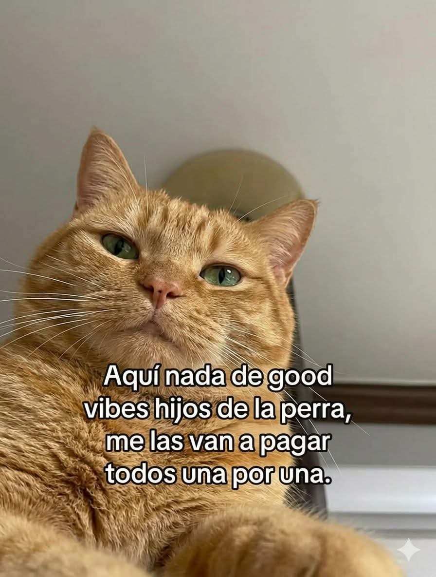 En Júpiter tweet media