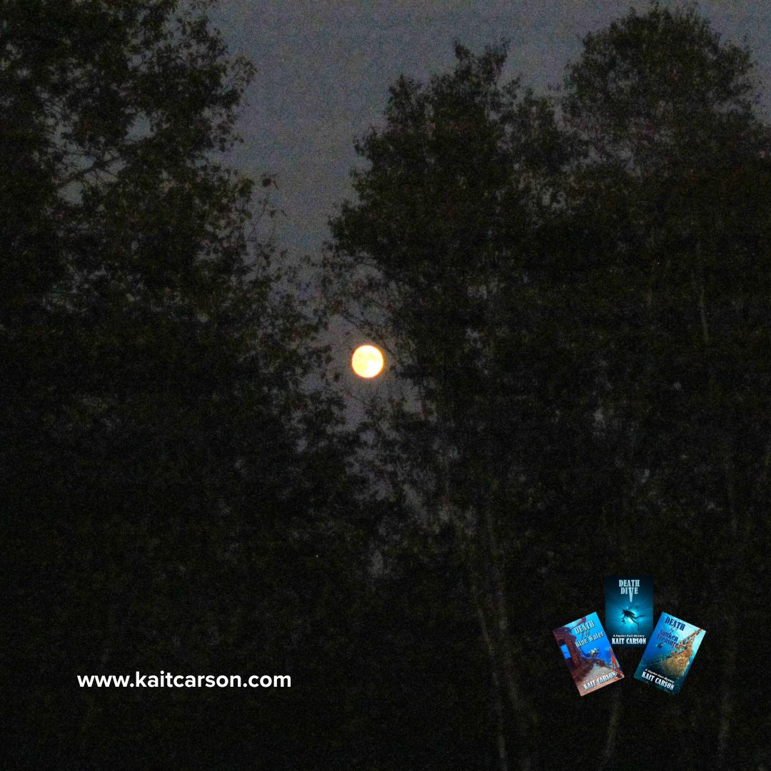 Kait Carson tweet media