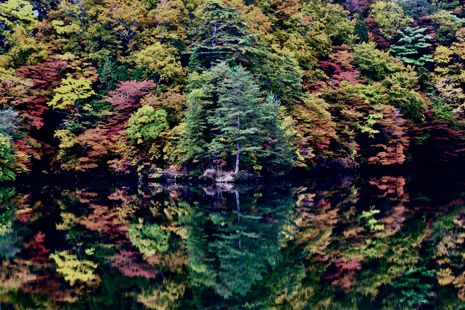 コロカル｜地域の知る人ぞ知るを発信するマガジン tweet media