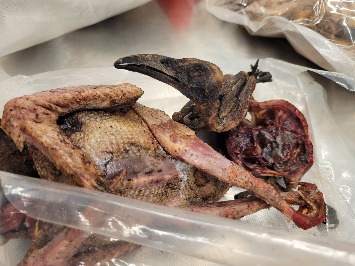 Director of Field Operations Chicago tweet media