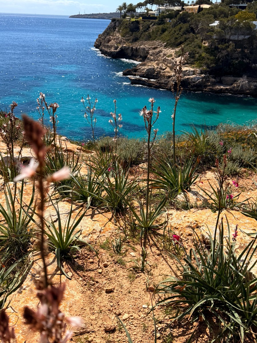 Pedro Umpierre 🌐 tweet media