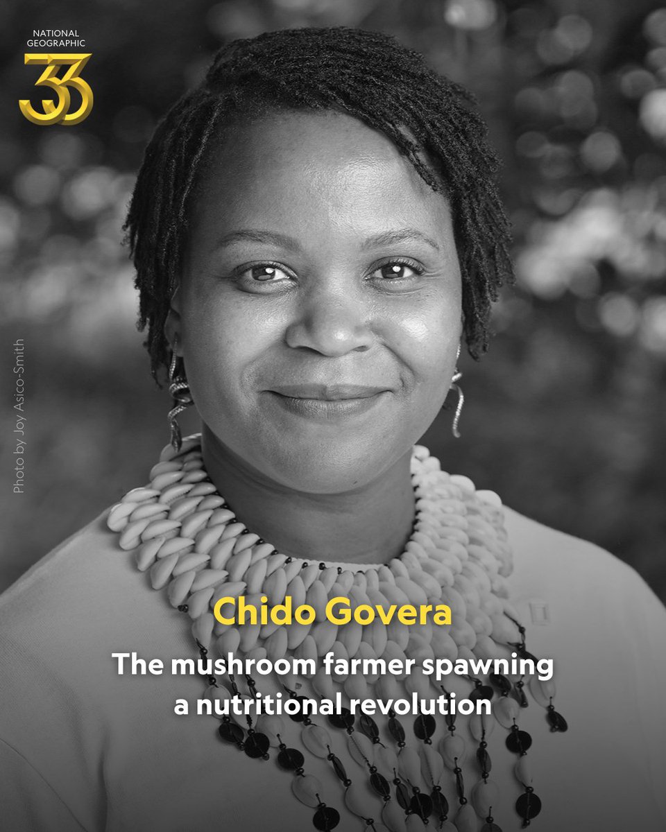 NatGeo's tweet photo. National Geographic 33 changemaker and National Geographic Explorer @chygovera has taught over 10,000 households in Zimbabwe and southern Africa how to grow nutrient-rich mushrooms. Read more about how Govera is empowering communities: https://t.co/D6lY8yS8EC #NatGeo33 https://t.co/hV3klwz5RU