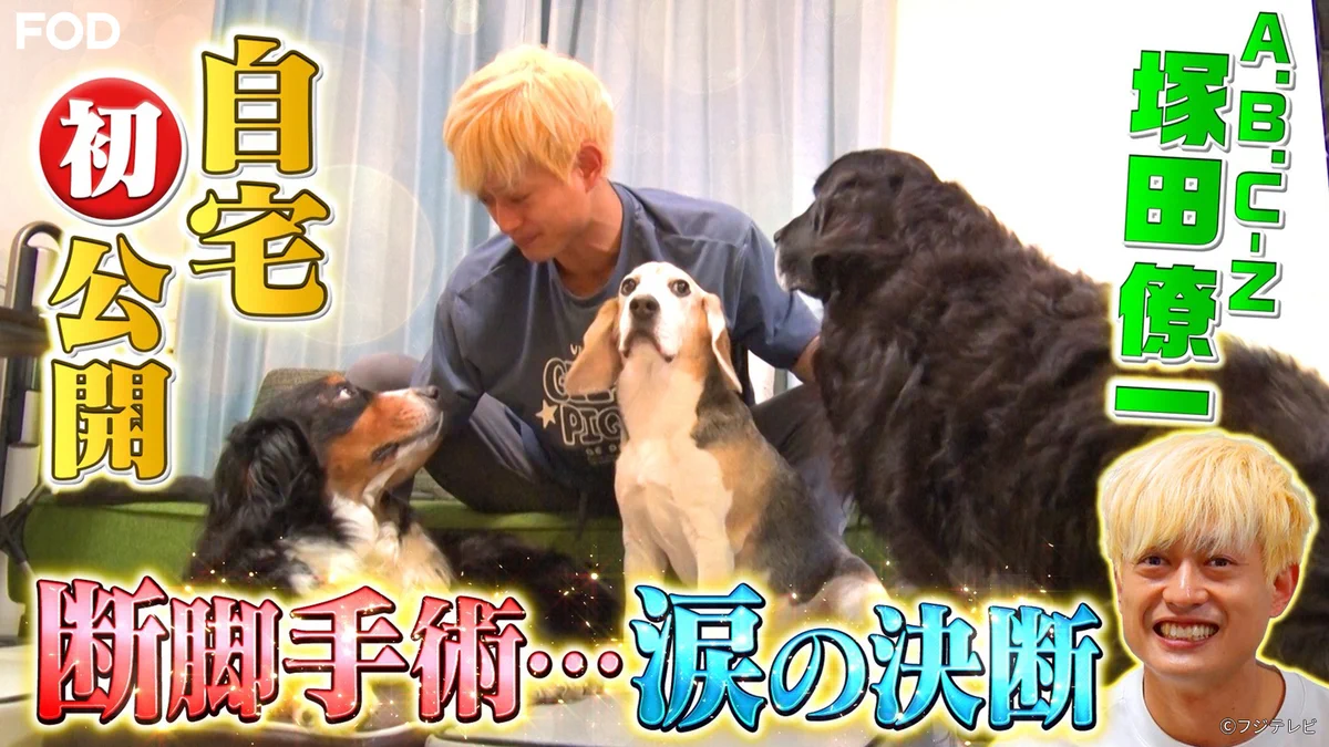 公式】FOD(動画も雑誌も見放題) on X: 