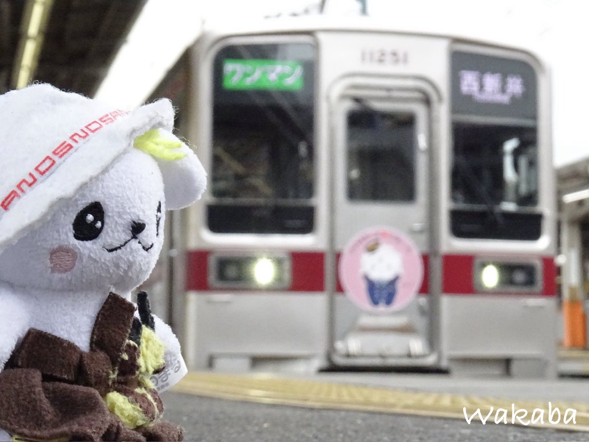 hb_wakabaCa20's tweet photo. 03/27
東武9000型 #9102F 出場試運転。
大師線にて"#さのまるっととれいん"の #11251F が運用入りしてたため9102Fと並ぶかと思いましたが、先行列車の遅れで並ばず...
その後は11251Fと家にいるさのまるを並べて写真をパシャリ。とても癒される車両でした♪さのまるかわいい。 https://t.co/30GuIqAcaG