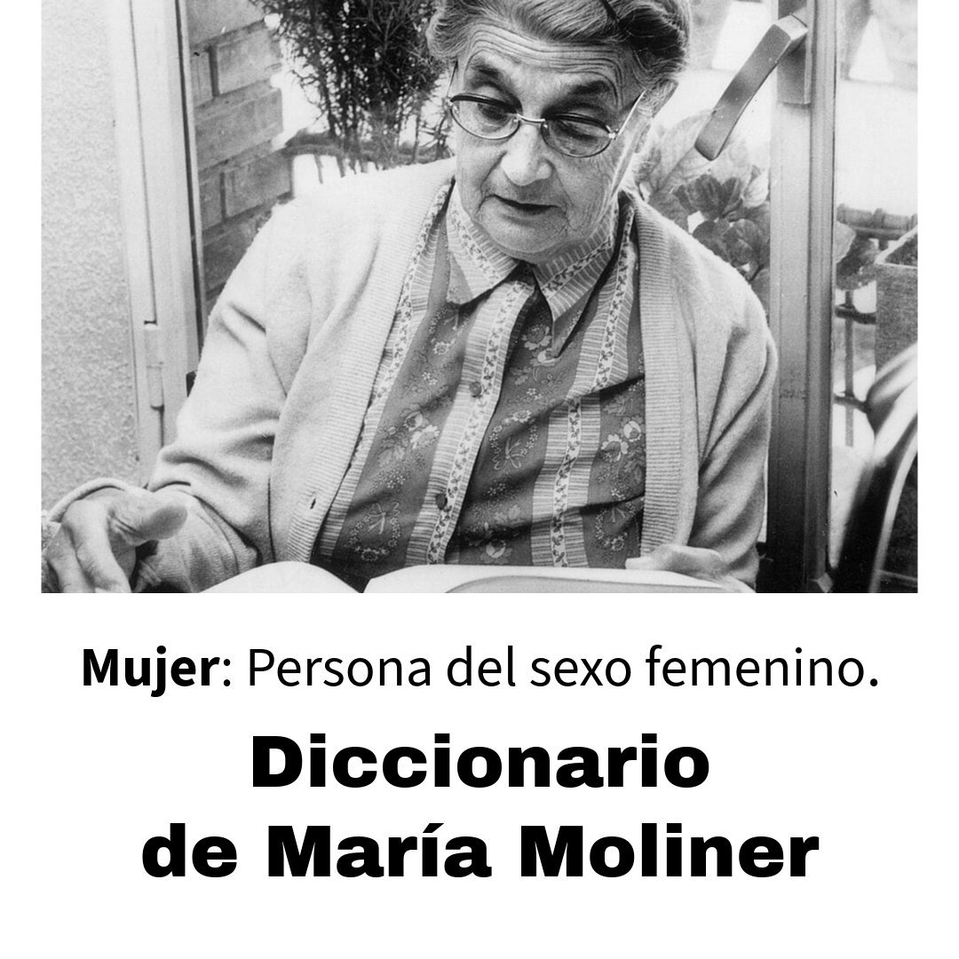 Lalú Brotóns #XX tweet media