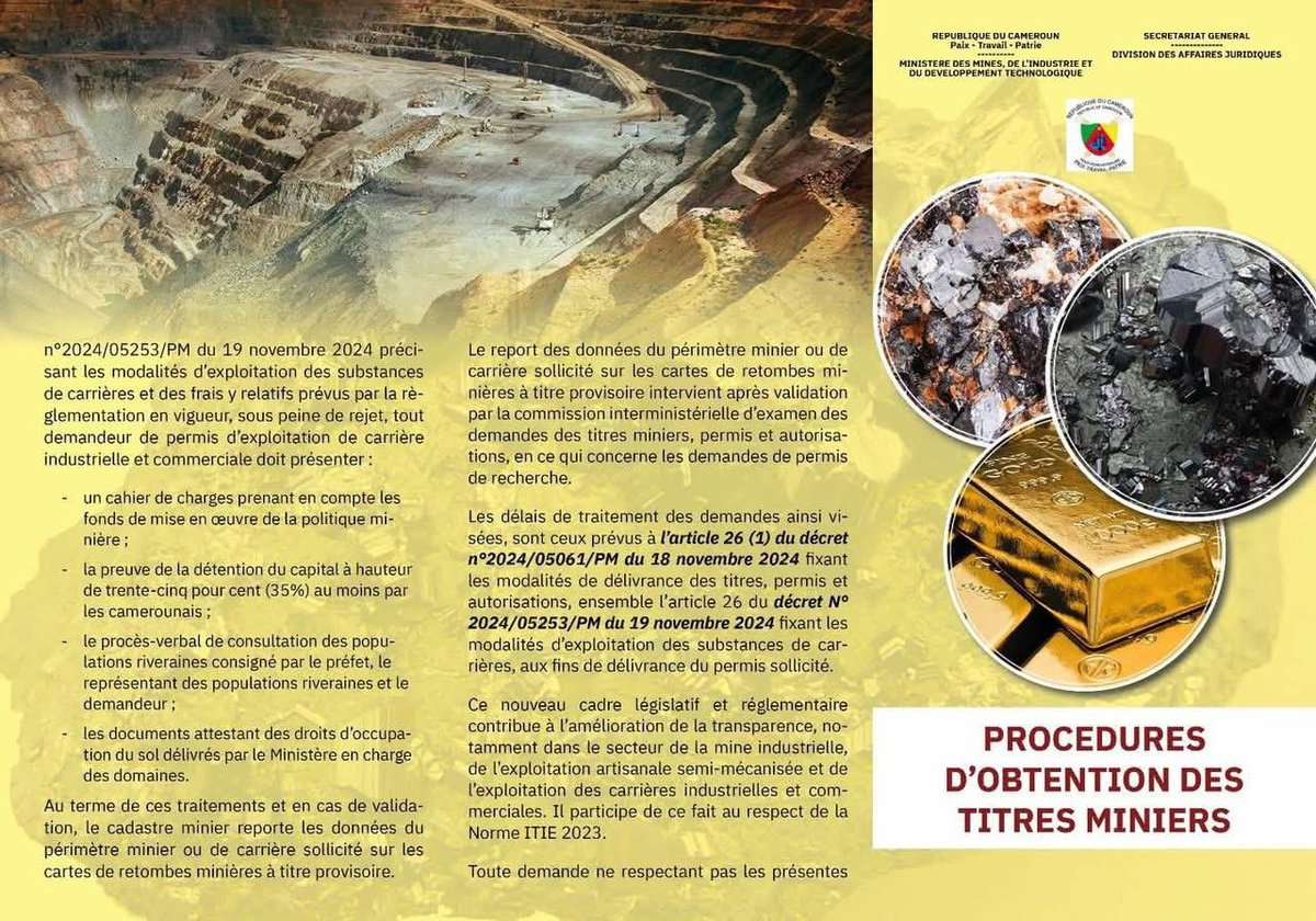 The Cameroonian 🇨🇲 tweet media