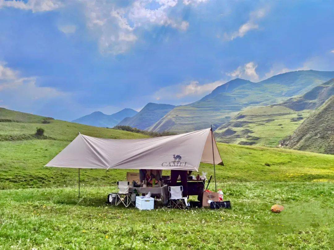 เฉาก๊วย tweet media