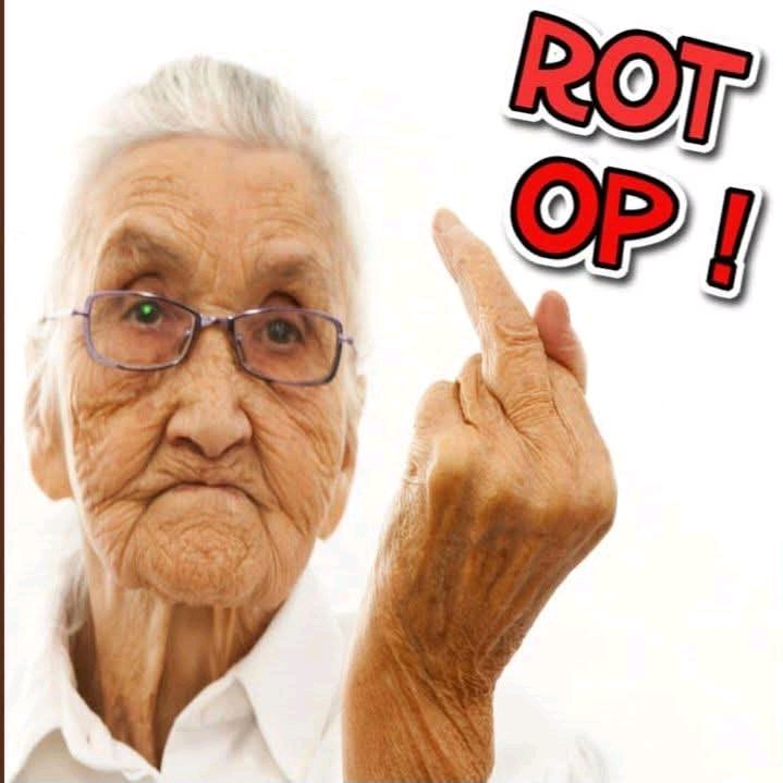 Bert demissionair burger. tweet media