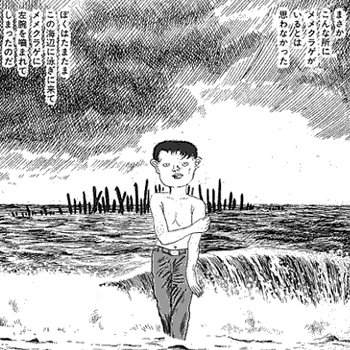 穂積ツクヨ tweet media