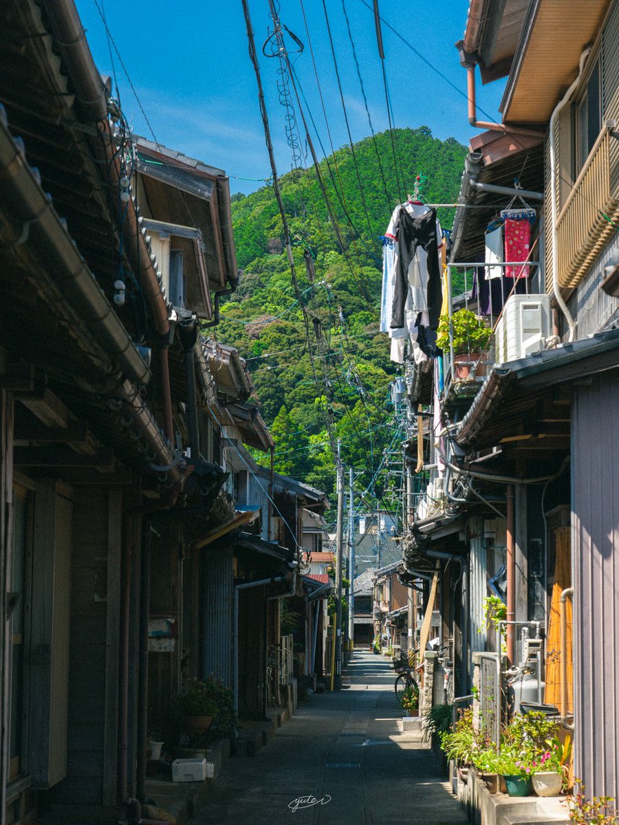 Yuto / バズる！写真編集術の著者 tweet media