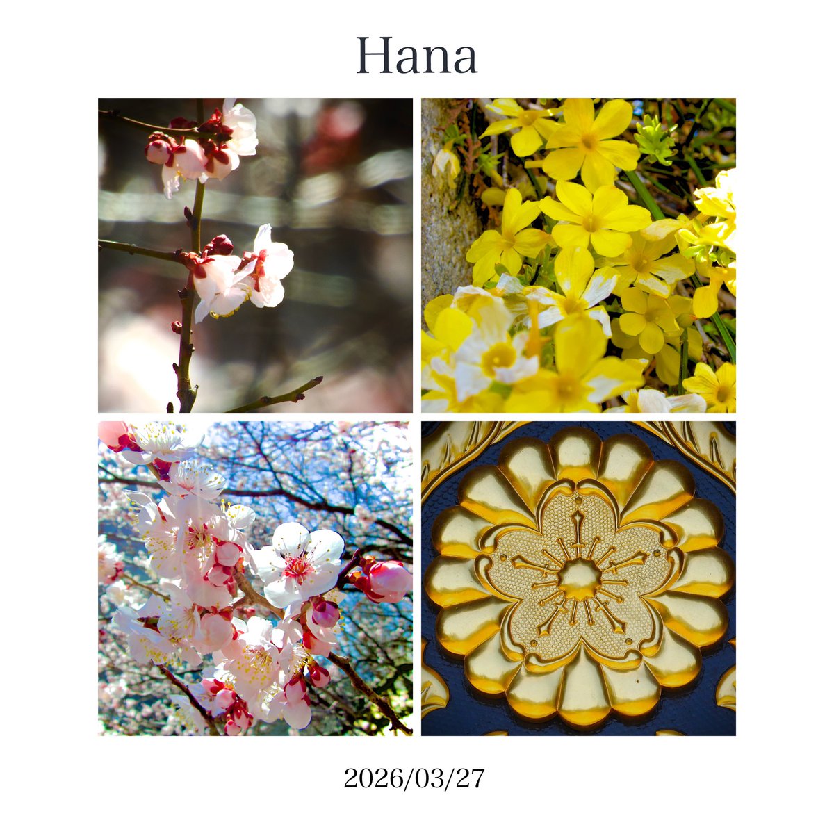 トウフメンタル多趣味爆発中 tweet media