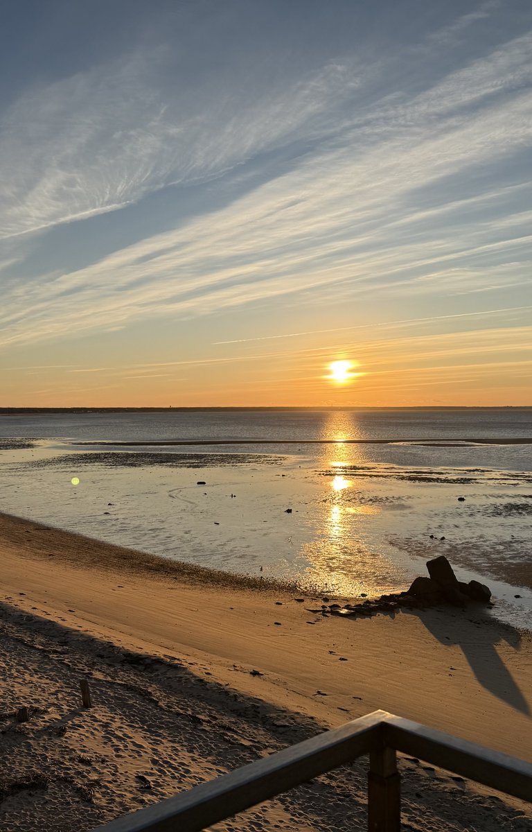 Patricia Cornwell tweet media