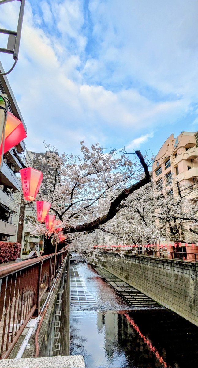 舘　素子@行政書士 tweet media