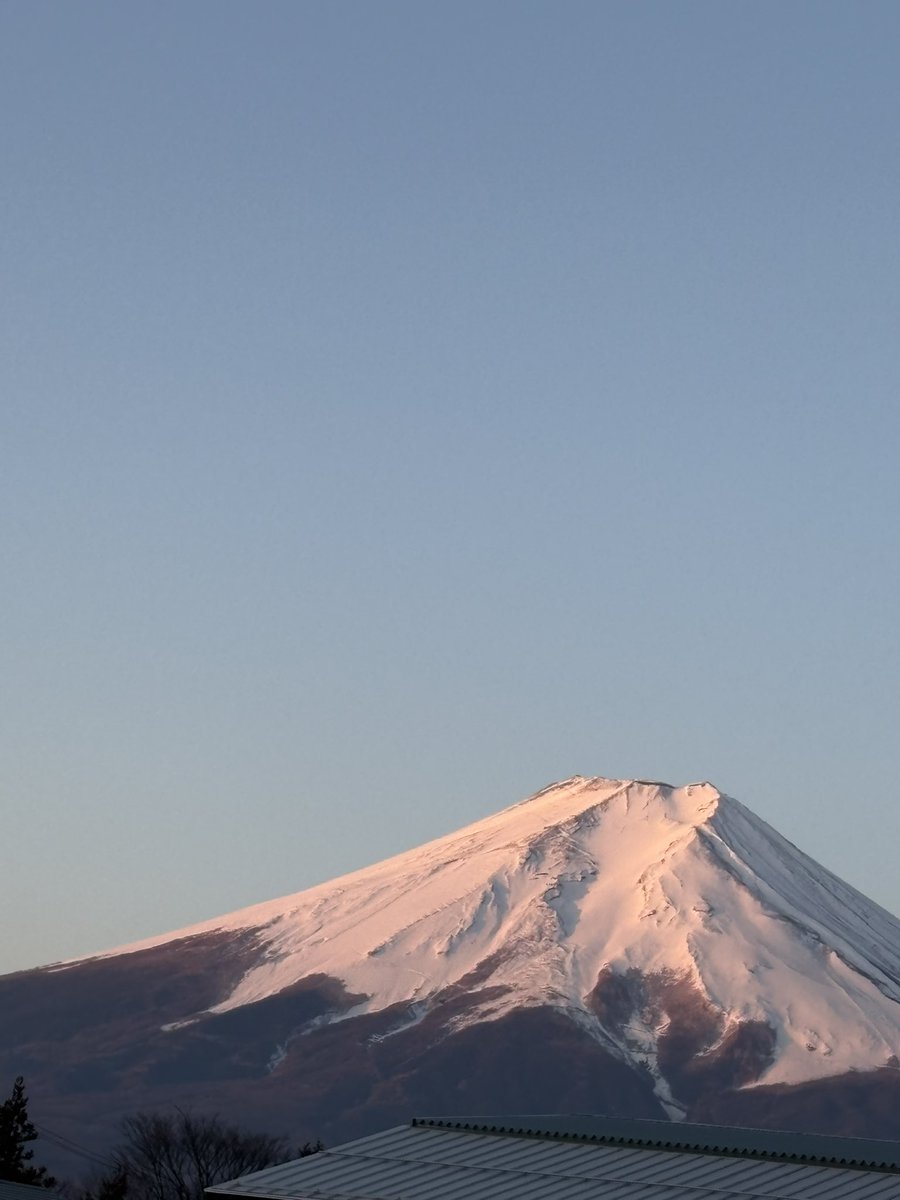 Kchan🐯K5 tweet media